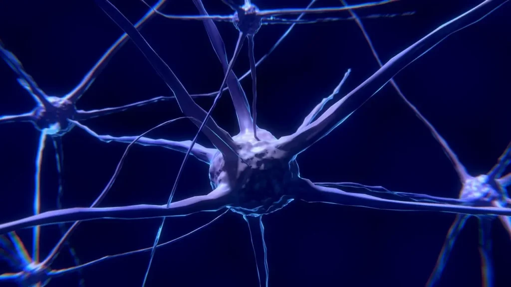 Grafika 3D przedstawiająca układ nerwowy człowieka